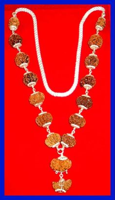 "Product Name : Rudraksha Siddha Mala - Nepal Design : All the Rudraksha are Strung In silver wire having knot style , With Silver Cap on each beads and finally attach With Strong silver chain . Configration : 1 mukhi Rudraksha - Half moon Shape , Dimension : 31 mm - 33 mm 2 mukhi , 3 mukhi Rudraksha - Dimension : 17 mm - 18 mm 4 mukhi , 5 mukhi , 6 mukhi , 7 mukhi , 8 mukhi , 9 mukhi , 10 mukhi , Ganesh Rudraksha - Dimension : 19 mm - 20 mm 11 mukhi , 12 mukhi , 13 Mukhi , 14 Mukhi - Dimension Traditional Silver Mala For Meditation, Silver Spiritual Mala For Festivals, Silver Temple Jewelry Mala For Diwali, Silver Mala For Puja And Diwali, Silver Mala For Puja On Diwali, Silver Mala For Puja During Diwali, Silver Mala For Diwali Puja, Silver Mala For Festivals, Silver Mala With Polished Beads For Festivals