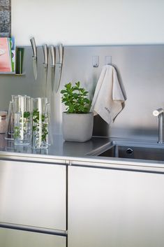 a kitchen counter with plants and glasses on it