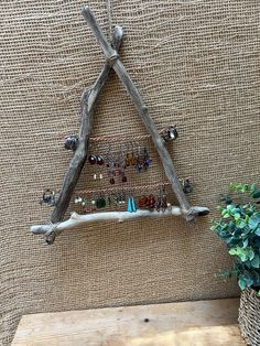 a piece of driftwood is hanging on the wall next to a potted plant