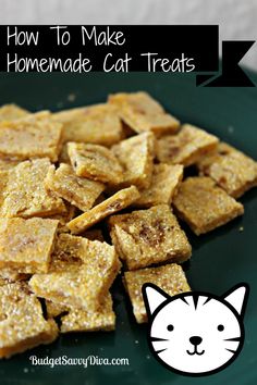 homemade cat treats on a green plate with the words how to make homemade cat treats