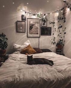 a black cat laying on top of a white bed in a bedroom next to plants