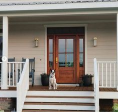 a dog sitting on the front steps of a house