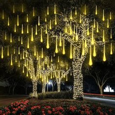 a lighted tree with yellow lights hanging from it's branches in front of a road