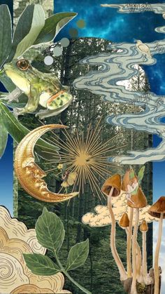 an artistic collage with mushrooms, plants and other things in the sky above them