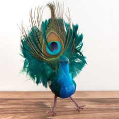 a blue and green bird with feathers on its head walking across a wooden floor in front of a white wall