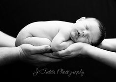 a black and white photo of a baby sleeping in its mother's hands with the caption field's photography