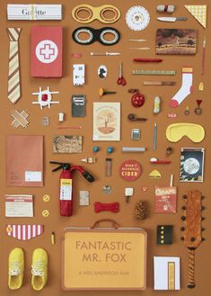 an assortment of assorted items displayed on a brown surface with the words fantastic mr fox