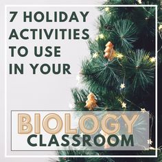 a christmas tree with the words 7 holiday activities to use in your biology classroom