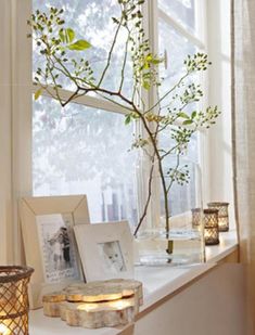 a window sill with candles and pictures on it, next to a tree branch