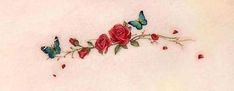 some red roses and two butterflies on a white background