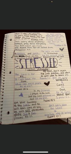 Matthew 6 25, Bible Notes, Bible Journaling, No Worries, Bible, Bring It On