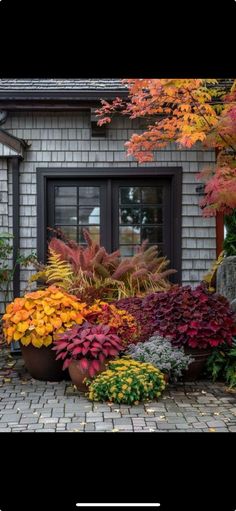 a house that has some plants in front of it