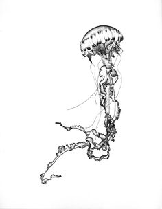 a black and white drawing of a jellyfish in the water with it's head hanging upside down