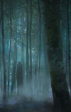 a man standing in the middle of a forest surrounded by tall trees with fog on them