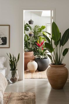 there are many potted plants on the floor next to each other in this room