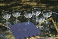 there are many wine glasses sitting on the table with a book in front of them