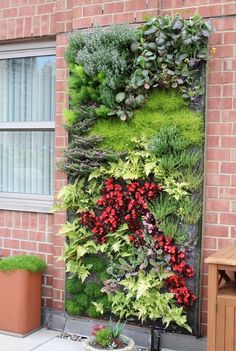 a vertical garden on the side of a building with red flowers and green plants growing in it