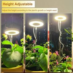 three different views of plants with lights on them and the same plant in front of it