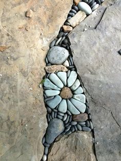 some rocks and stones are arranged in the shape of a flower