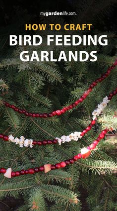 a bird feeder hanging from the side of a pine tree with text overlay that reads how to craft bird feeding garlands