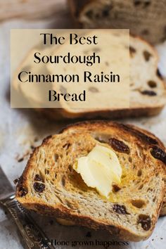 the best sourdough cinnamon raisin bread