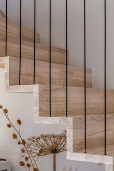 a plant sitting on top of a wooden stair case