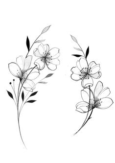 two flowers are shown in black and white, one is drawn with ink on paper