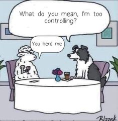 two dogs sitting at a table talking to each other with speech bubbles above them that says what do you mean, i'm too controlling?