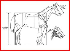 a drawing of a horse that is standing