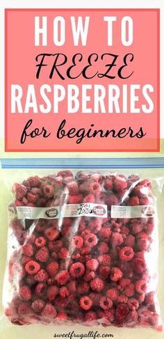 raspberries in a bag with the words how to freeze raspberries for beginners