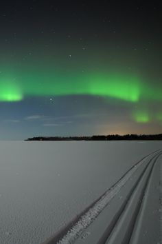 the aurora bore is seen over a snowy field