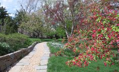 a stone path surrounded by flowers and trees