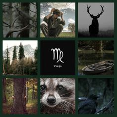 a collage of pictures with animals, trees, and other things in the background