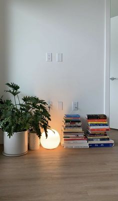 there is a plant and some books on the floor