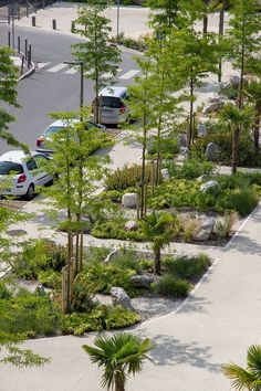 a parking lot with several cars parked next to trees and bushes on the side of the road