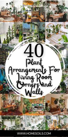 Interior Plants Decoration, Living Room Corners, Indoor Plants Decor Living Room, Living Room Plants Decor, Plant Decor Ideas, Indoor Plants Decor, Plant Display Ideas, Plant Arrangements