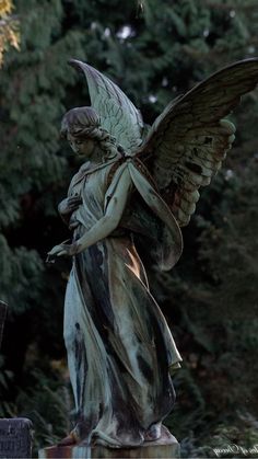 a statue of an angel holding a bird