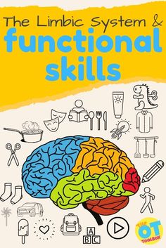 the limbic system and functional skills book cover with an image of a human brain