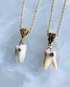 This authentic human molar with a beautiful stone cavity is set within an adjustable 925 sterling silver setting Teeth Necklace, Human Teeth, Tooth Necklace, Pearl Jewelry Sets, Funky Jewelry, Pearl Strands, Gold Crystal, Tooth Fairy, Cavities