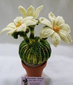 a crocheted pot with two white flowers in it and a card on the table