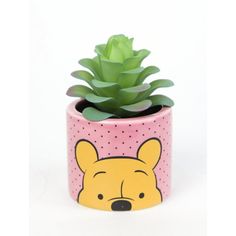 a small potted plant with a cartoon bear on it's side and a succulent in the center