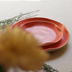 two pink plates sitting on top of a table next to some dried grass and flowers