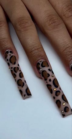 Cheetah Acrylic Nails, Nail Inspo Coffin, Leopard Nail Designs, Cheetah Print Nails, Long Square Nails, Cheetah Nails, Square Nail, Square Nail Designs, Diy Acrylic Nails