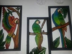 three colorful parrots are sitting on the tree branches in front of two framed pictures