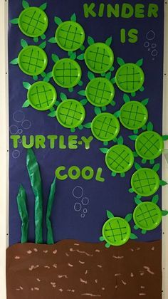 a bulletin board made to look like turtles and the words kinder is turtley cool