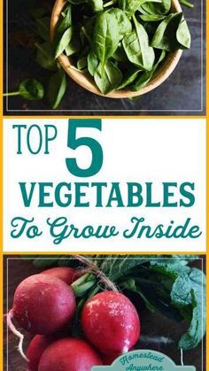 the top 5 vegetables to grow inside