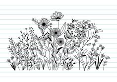 flowers and plants drawn on lined paper in black and white, with pencil lines behind them