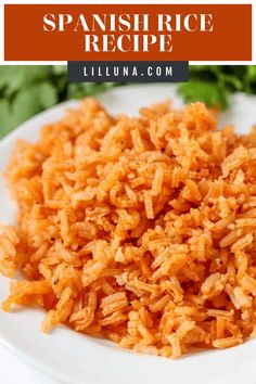 spanish rice on a white plate with parsley in the background and text overlay