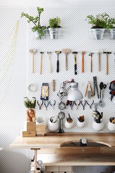 there are many pots and spoons hanging on the wall with plants in them,