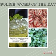 the polish word of the day is written in three different languages and includes pictures of ice cubes, mint leaves, and pepperminks